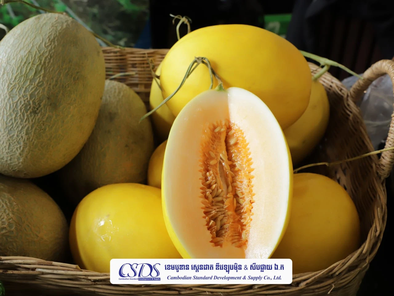 Fresh Melon